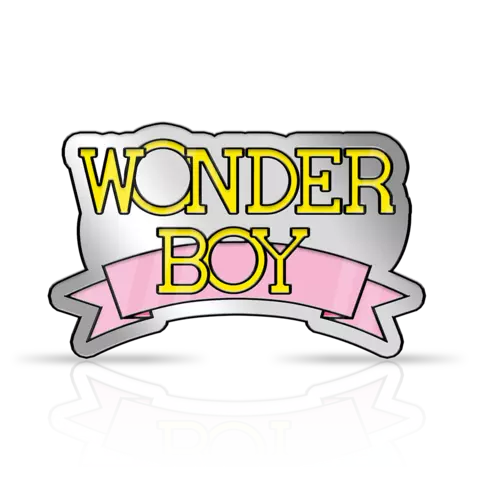 Comprar Wonder Boy Anniversary Collection Collector's Edition PS4 Coleccionista - EEUU